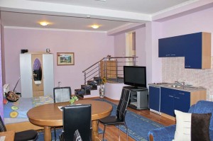 Apartmanska soba “President”- Antonio - Pansioni Zagreb